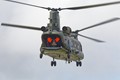 916A0964chinook