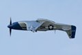 Mustang 'Miss Helen'