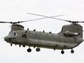 Chinook