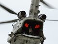 Chinook. Is it a wave or does he want a cuddle?