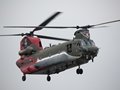 Anniversary Chinook