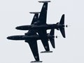 Hawk T2 role demo team
