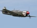 Kittyhawk 'Lulu Belle' 