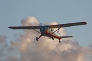 Beaver 6913