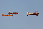 Beaver with Chipmunks 7008