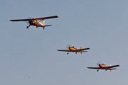 Beaver with Chipmunks 7065