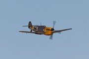 Buchon White 9 6655