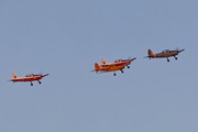Chipmunks 7097