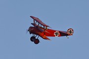 Fokker DR1 'Red Barron' 6802