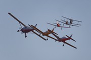 Fox Moth, Beaver and Chipmunks 7048