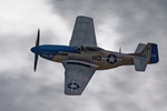Mustang 'Miss Helen' 6141