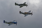Mustangs 'Contrary Mary', 'Miss Helen' and 'The Hun Hunter' 6100