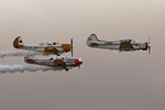 Flying Comrades 1395