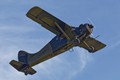 916A4902haaf_beaver