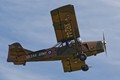 916A4903haaf_beaver