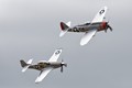 916A5727mustang_thunderbolt_1