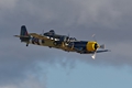 Wildcat Corsair 1857