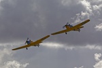 Miles Magister Pair P304