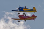 Taylor Mono Display Team 8816