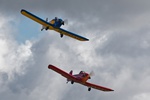Taylor Mono Display Team 8881