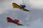 Taylor Mono Display Team 8887