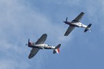 American Fighters 7116