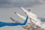 Red Arrows Goose 7753