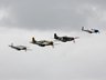 Four Mustangs