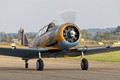 T-6 Harvard "Wacky Wabbit" 2890