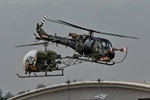 Westland Scout and Agusta-Bell Sioux
