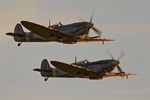 Dusk Patrol 0724