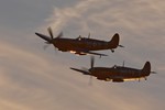 Dusk Patrol 0746_1