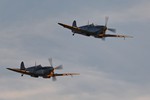 Dusk Patrol 0764