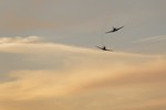 Dusk Patrol 0811