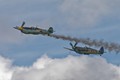 Buchon-Spitfire Dogfight 2667
