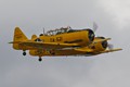 Harvard pair 2990