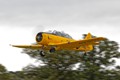 Harvard 8550 l