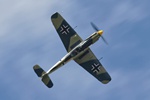Buchon Yellow 10 
