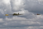 Dakota and Harvard pair
