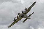 Sally B