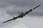 Sally B 