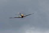Buchon Yellow 10 8885