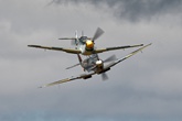 Buchon Yellow 10 and Spitfire 8935