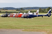 Gazelles starting up 2519