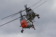 Westland Wessex and Westland Sea King 1156