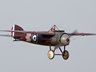 Bristol M1C