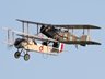 Bristol Scout & Bristol F2b