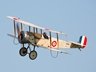 Bristol Scout
