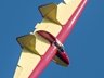 Fauvel glider
