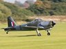 Percival Provost XF603